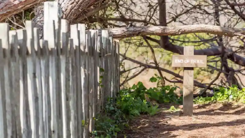 Why Fixing a Fence Is Almost Always Worth It Before Replacing It